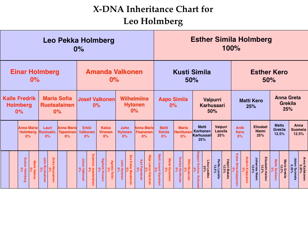 Dna Inheritance Chart