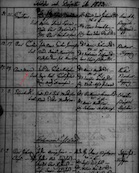 Anna Maria Birth Record.